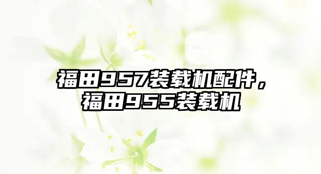 福田957裝載機(jī)配件，福田955裝載機(jī)