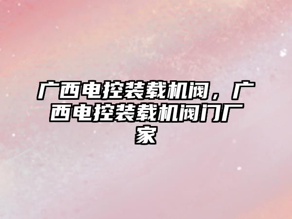 廣西電控裝載機閥，廣西電控裝載機閥門廠家