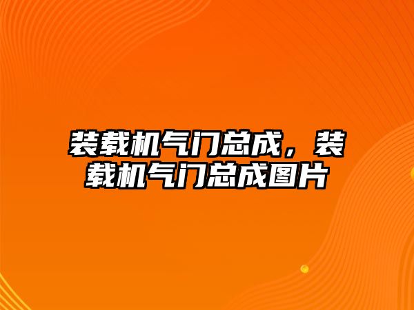 裝載機氣門總成，裝載機氣門總成圖片