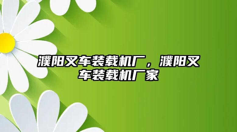 濮陽叉車裝載機廠，濮陽叉車裝載機廠家