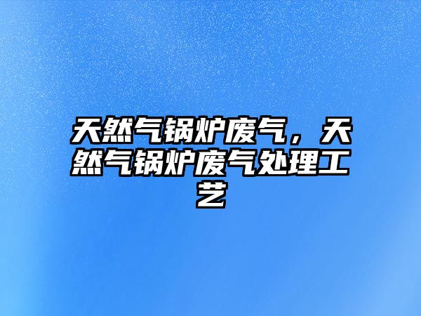 天然氣鍋爐廢氣，天然氣鍋爐廢氣處理工藝