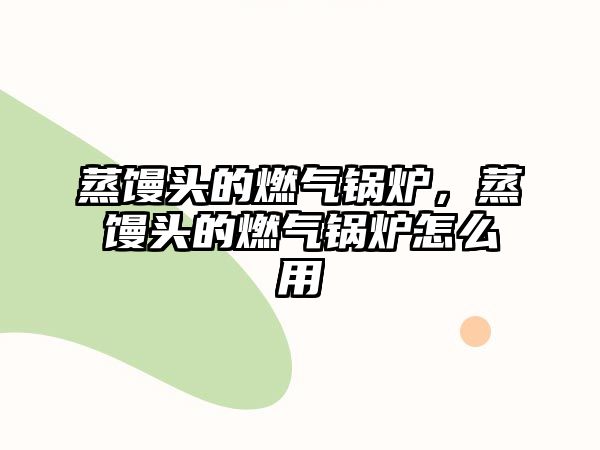 蒸饅頭的燃?xì)忮仩t，蒸饅頭的燃?xì)忮仩t怎么用