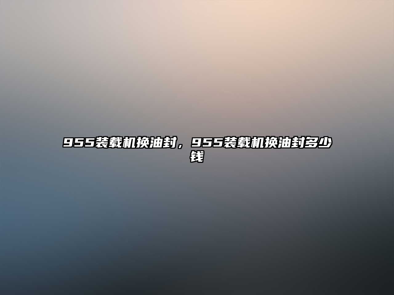 955裝載機換油封，955裝載機換油封多少錢