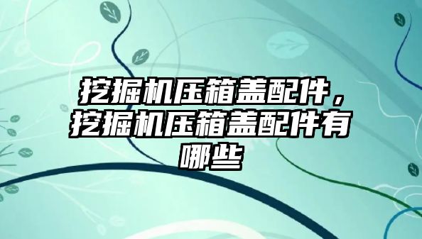 挖掘機壓箱蓋配件，挖掘機壓箱蓋配件有哪些