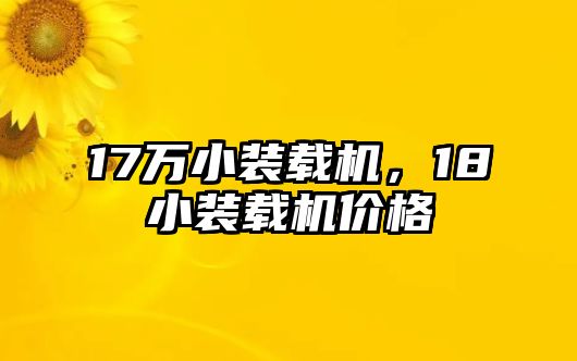 17萬小裝載機(jī)，18小裝載機(jī)價(jià)格