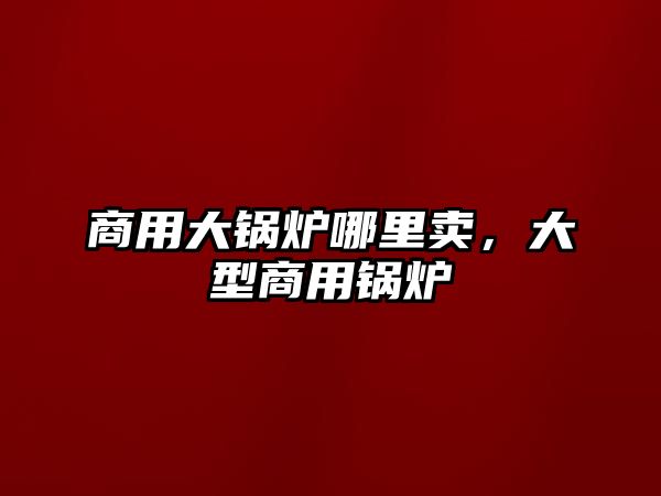 商用大鍋爐哪里賣，大型商用鍋爐