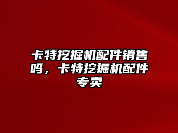 卡特挖掘機配件銷售嗎，卡特挖掘機配件專賣