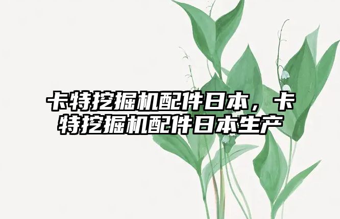 卡特挖掘機配件日本，卡特挖掘機配件日本生產