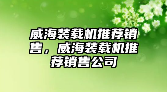 威海裝載機推薦銷售，威海裝載機推薦銷售公司