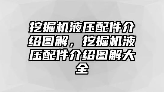 挖掘機(jī)液壓配件介紹圖解，挖掘機(jī)液壓配件介紹圖解大全