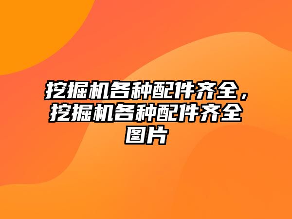 挖掘機各種配件齊全，挖掘機各種配件齊全圖片