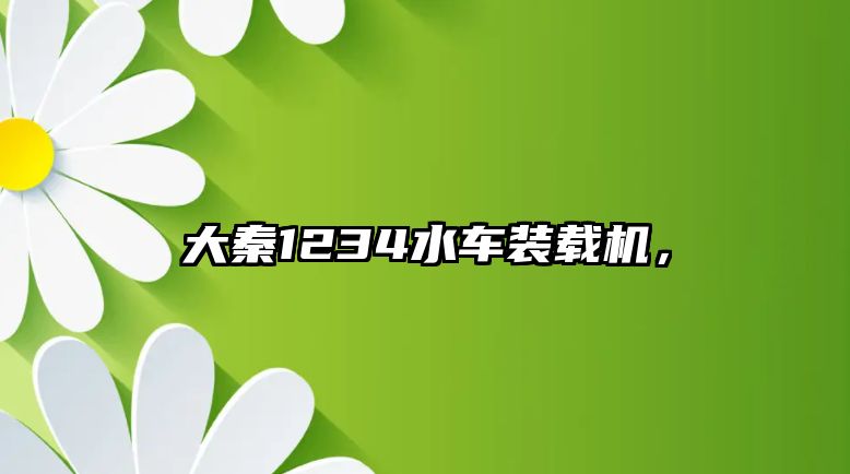 大秦1234水車裝載機，