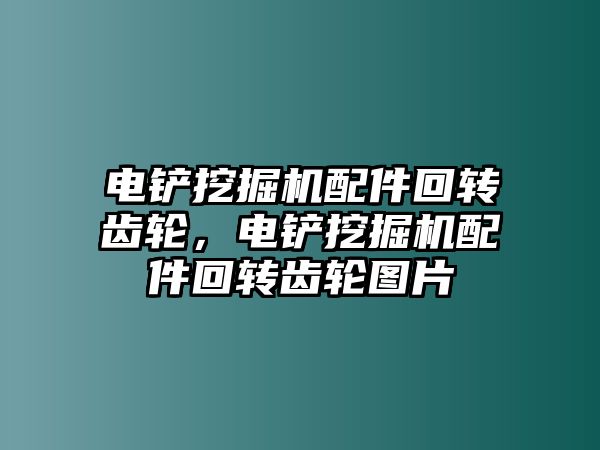 電鏟挖掘機配件回轉(zhuǎn)齒輪，電鏟挖掘機配件回轉(zhuǎn)齒輪圖片