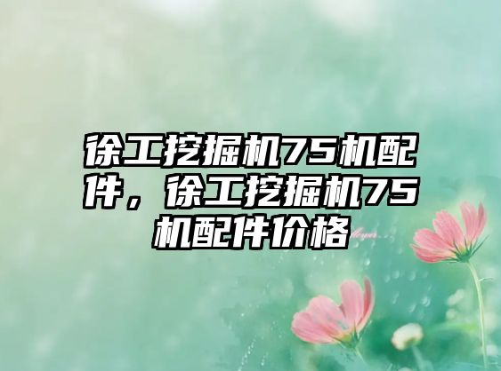 徐工挖掘機(jī)75機(jī)配件，徐工挖掘機(jī)75機(jī)配件價(jià)格