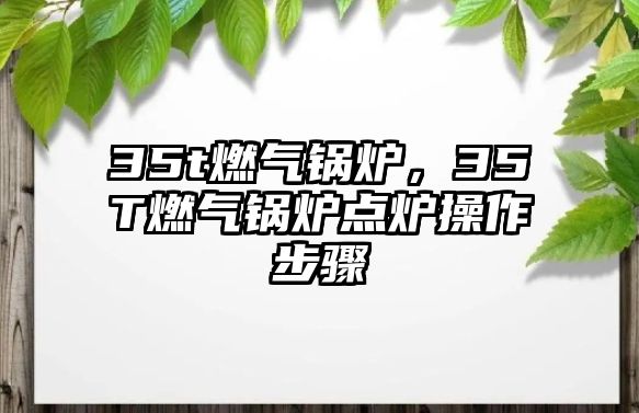 35t燃?xì)忮仩t，35T燃?xì)忮仩t點(diǎn)爐操作步驟