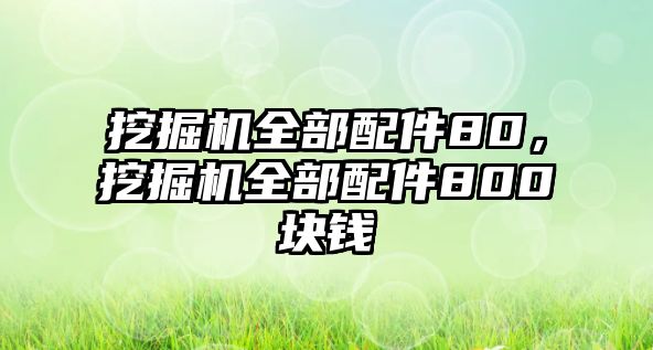 挖掘機全部配件80，挖掘機全部配件800塊錢