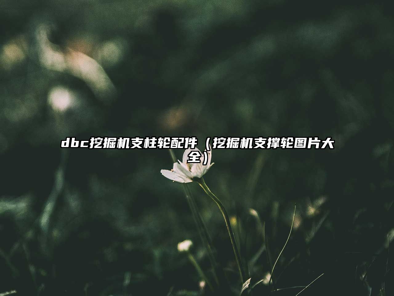 dbc挖掘機支柱輪配件（挖掘機支撐輪圖片大全）