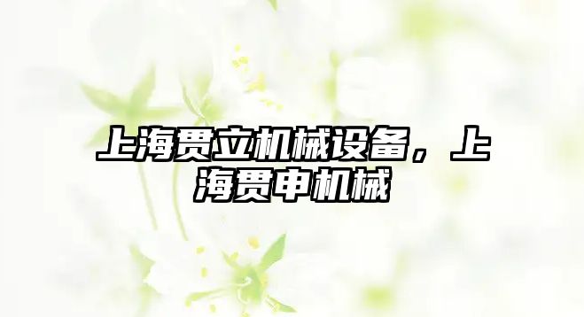 上海貫立機械設(shè)備，上海貫申機械