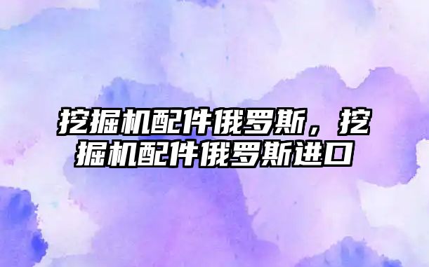 挖掘機配件俄羅斯，挖掘機配件俄羅斯進口