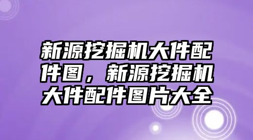 新源挖掘機大件配件圖，新源挖掘機大件配件圖片大全