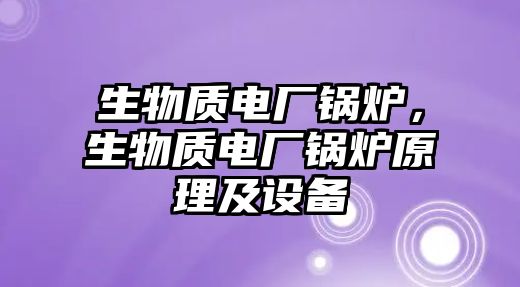 生物質電廠鍋爐，生物質電廠鍋爐原理及設備