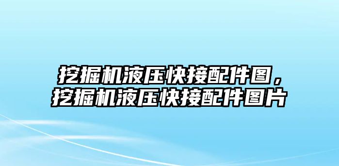 挖掘機液壓快接配件圖，挖掘機液壓快接配件圖片