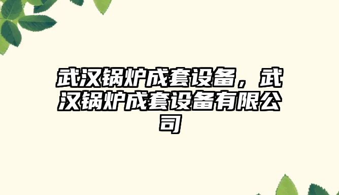 武漢鍋爐成套設(shè)備，武漢鍋爐成套設(shè)備有限公司