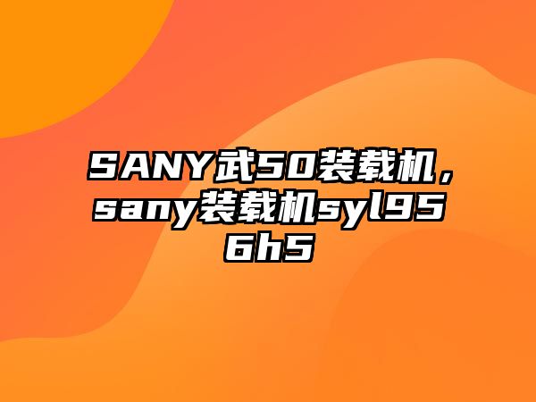 SANY武50裝載機(jī)，sany裝載機(jī)syl956h5