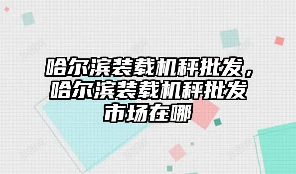 哈爾濱裝載機秤批發(fā)，哈爾濱裝載機秤批發(fā)市場在哪