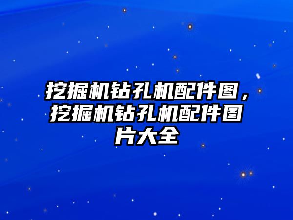 挖掘機鉆孔機配件圖，挖掘機鉆孔機配件圖片大全