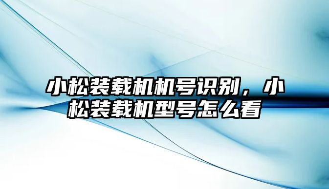 小松裝載機(jī)機(jī)號(hào)識(shí)別，小松裝載機(jī)型號(hào)怎么看