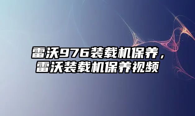 雷沃976裝載機保養(yǎng)，雷沃裝載機保養(yǎng)視頻