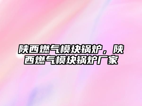 陜西燃?xì)饽K鍋爐，陜西燃?xì)饽K鍋爐廠家