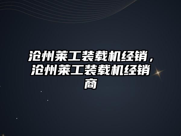 滄州萊工裝載機經(jīng)銷，滄州萊工裝載機經(jīng)銷商