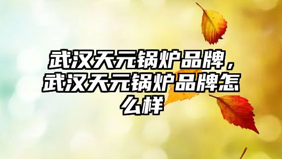 武漢天元鍋爐品牌，武漢天元鍋爐品牌怎么樣