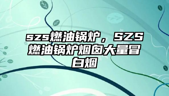 szs燃油鍋爐，SZS燃油鍋爐煙囪大量冒白煙