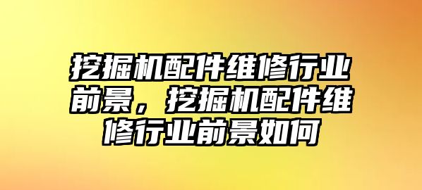 挖掘機配件維修行業(yè)前景，挖掘機配件維修行業(yè)前景如何