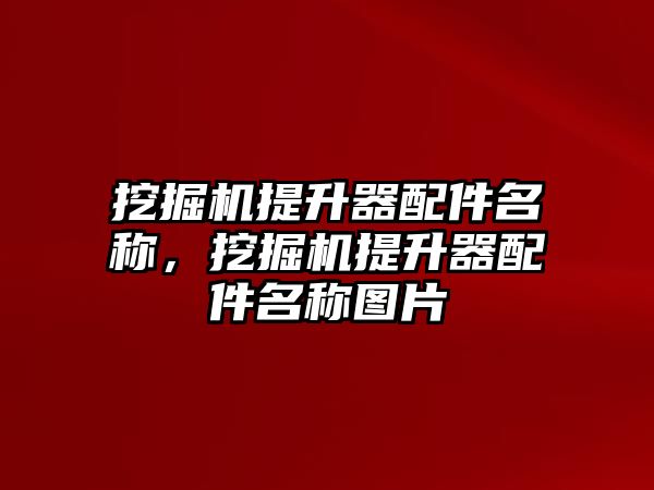 挖掘機(jī)提升器配件名稱，挖掘機(jī)提升器配件名稱圖片