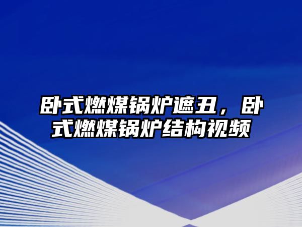 臥式燃煤鍋爐遮丑，臥式燃煤鍋爐結(jié)構(gòu)視頻