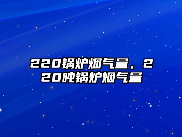 220鍋爐煙氣量，220噸鍋爐煙氣量