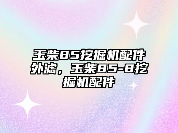 玉柴85挖掘機配件外濾，玉柴85-8挖掘機配件