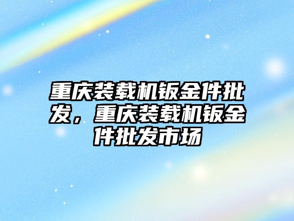 重慶裝載機鈑金件批發(fā)，重慶裝載機鈑金件批發(fā)市場