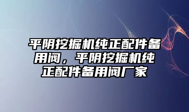 平陰挖掘機(jī)純正配件備用閥，平陰挖掘機(jī)純正配件備用閥廠家