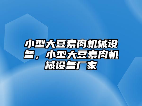 小型大豆素肉機(jī)械設(shè)備，小型大豆素肉機(jī)械設(shè)備廠家