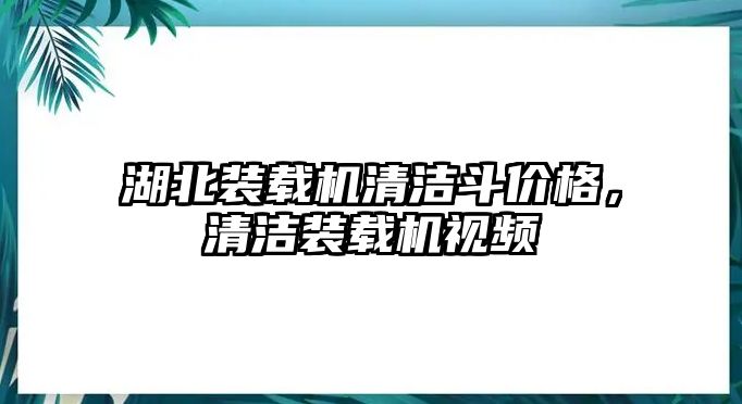 湖北裝載機(jī)清潔斗價(jià)格，清潔裝載機(jī)視頻