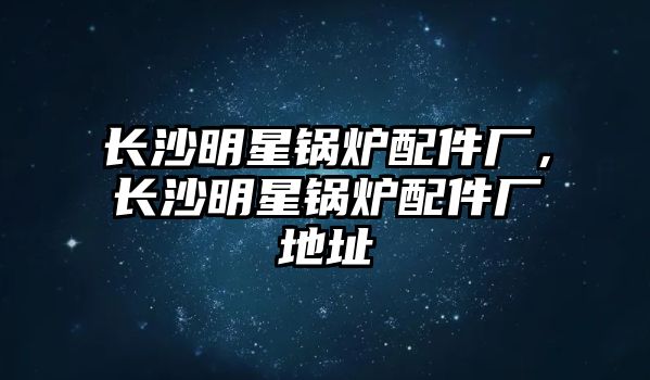 長沙明星鍋爐配件廠，長沙明星鍋爐配件廠地址