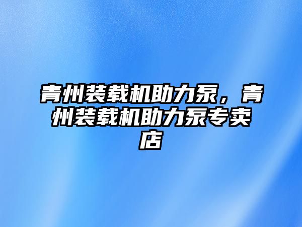 青州裝載機助力泵，青州裝載機助力泵專賣店