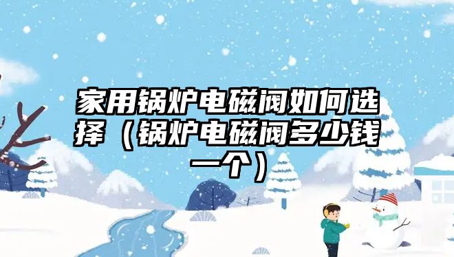 家用鍋爐電磁閥如何選擇（鍋爐電磁閥多少錢一個）