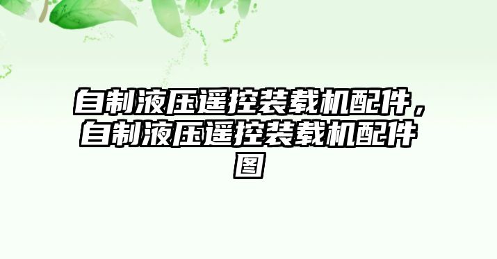 自制液壓遙控裝載機(jī)配件，自制液壓遙控裝載機(jī)配件圖