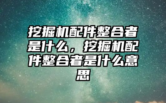 挖掘機(jī)配件整合者是什么，挖掘機(jī)配件整合者是什么意思